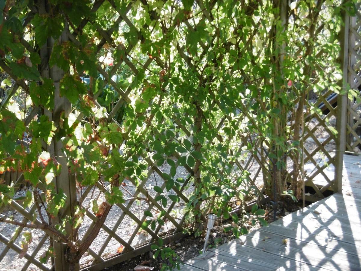 Le Chat Qui Peche B&B Chateauneuf-la-Foret ภายนอก รูปภาพ
